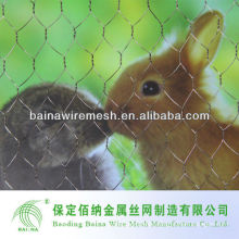 Hexagonal Hole Wire Mesh Mainly for Rabbit cages